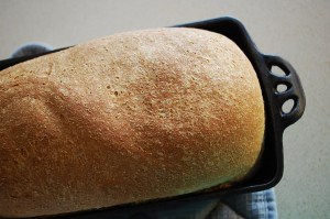 Baking again, the most phenomenal Fresh Milk Bread, I must share this recipe! Even if it's not for THMing mamas, it's perfect for  children and daddies.
