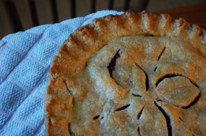 Blueberry Pie for a guest, picked ourselves a week previously...